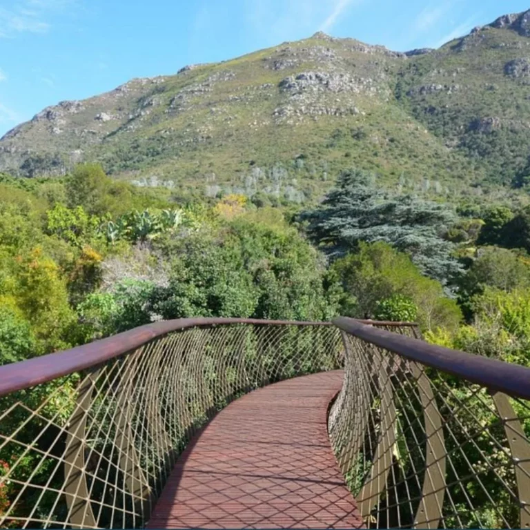 Kirstenbosch National Botanical Garden