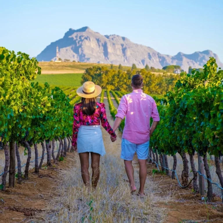 Wine tours with Cape Splendour Tours & Safaris (2)